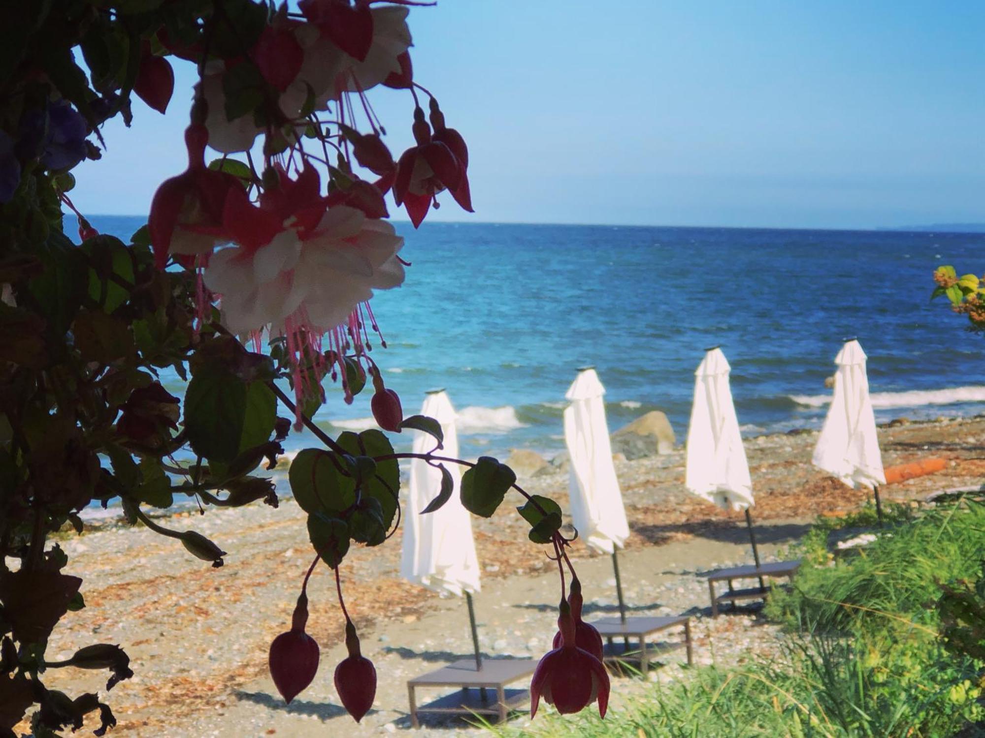 Qualicum Breeze Beach Resort Bowser Esterno foto