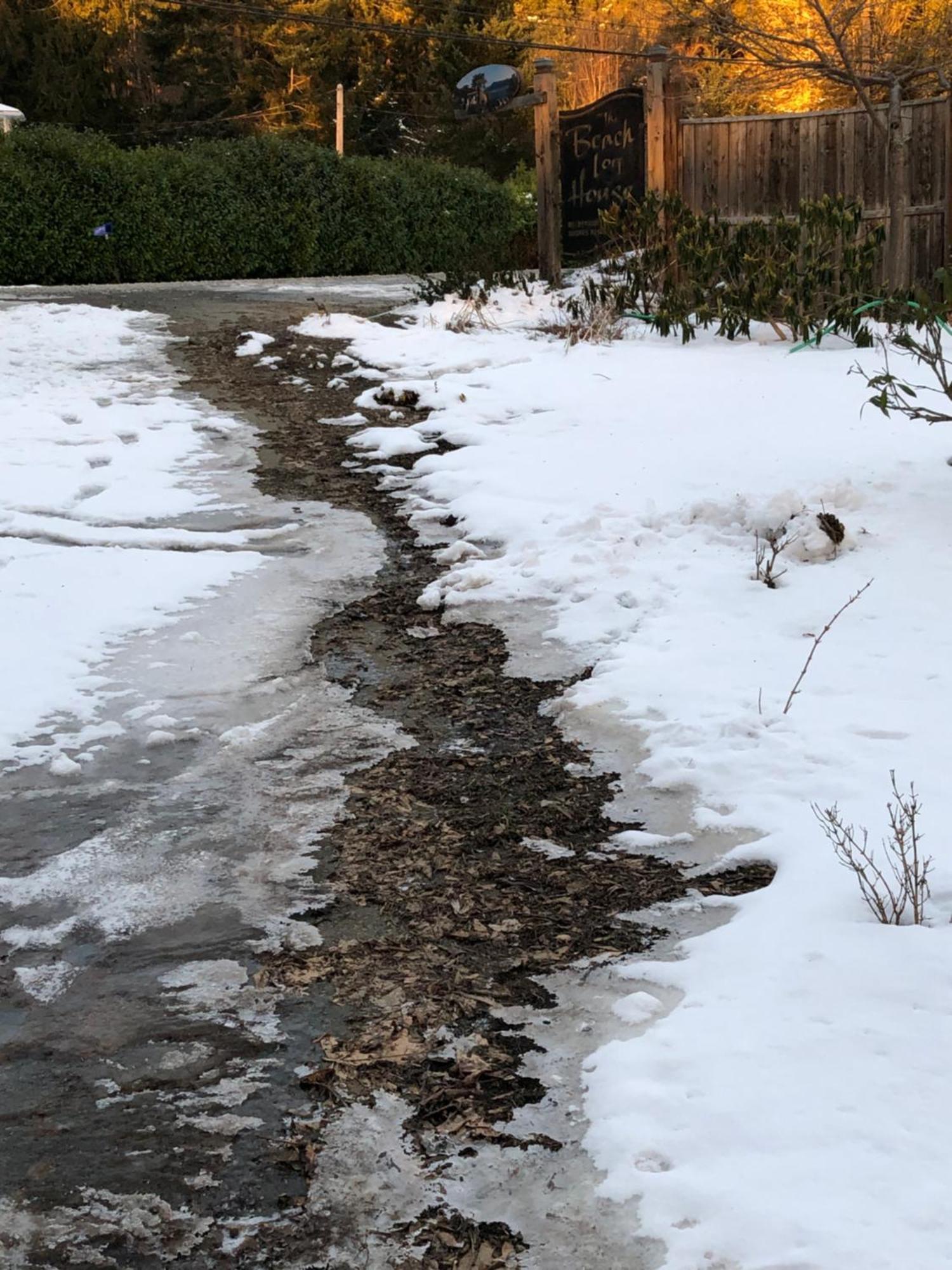 Qualicum Breeze Beach Resort Bowser Esterno foto